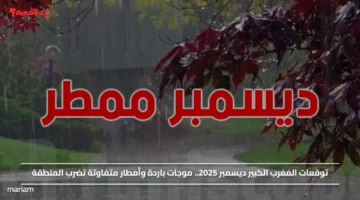 توقعات المغرب الكبير ديسمبر 2025.. موجات باردة وأمطار متفاوتة تضرب المنطقة